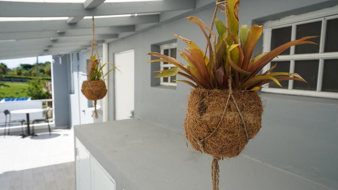 The Pelican Poshtel 산후안 외부 사진